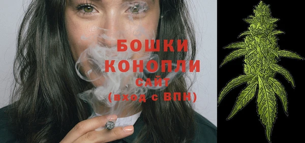 стафф Володарск