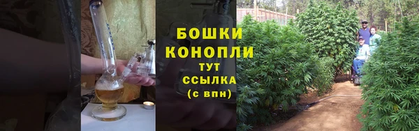 стафф Володарск